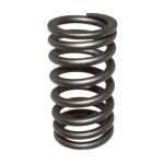New Pro Marine / Yamaha Valve Spring Part # 69J-12113-00-00